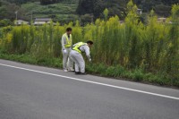 ごみ拾い