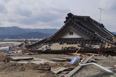 流されてきた屋根